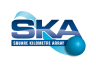 Logo SKA